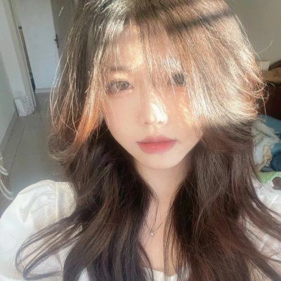 鲨与鲸